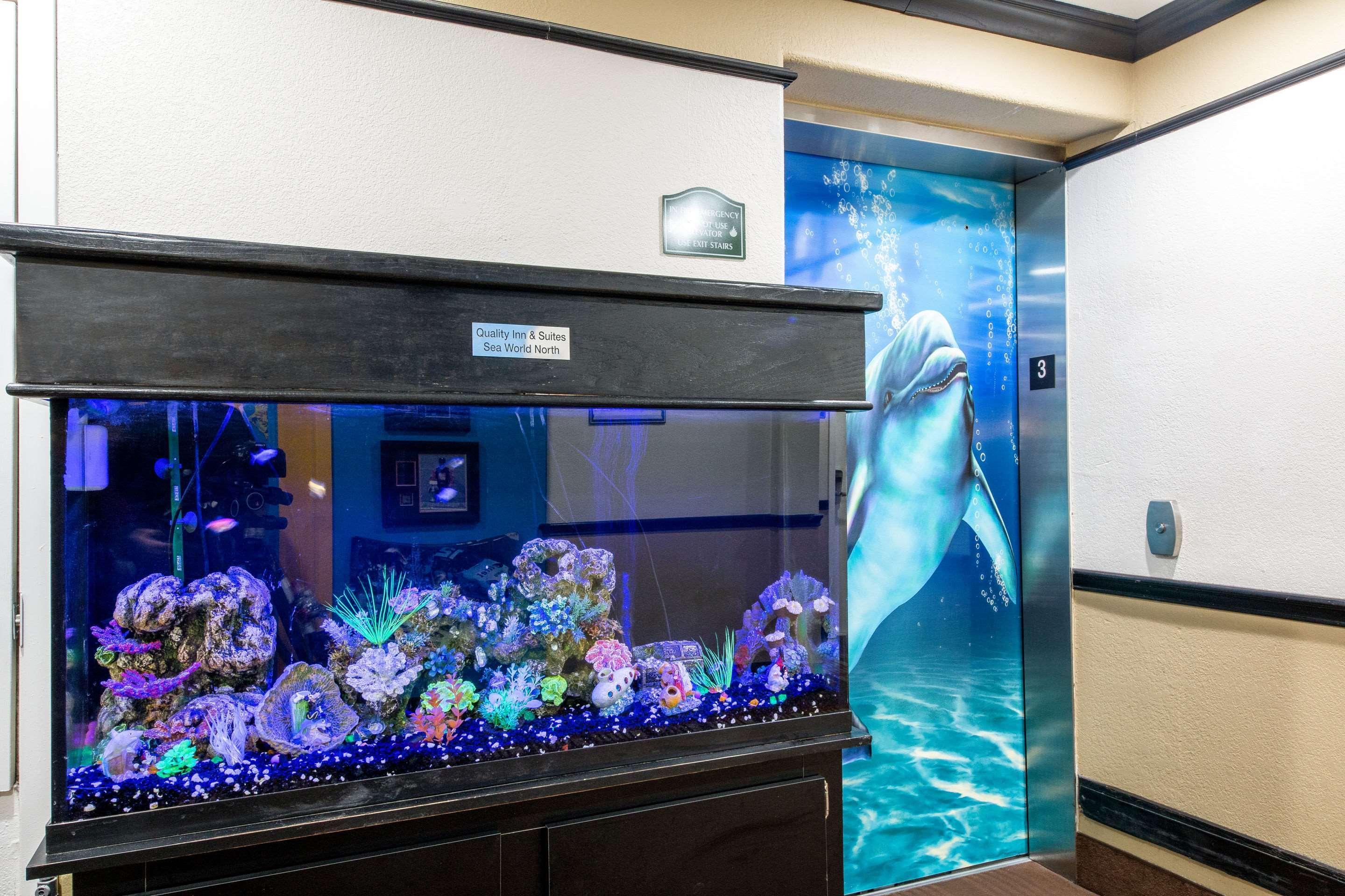 Quality Inn & Suites Seaworld North San Antonio Eksteriør billede
